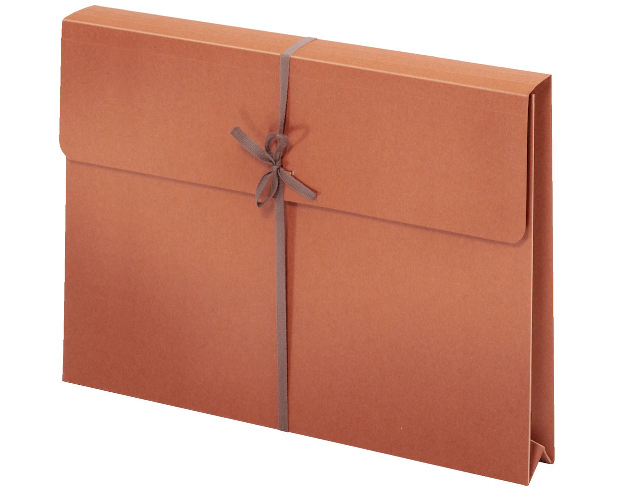 Pendaflex Envelopes, String Tie Closure, 2" Expansion, Legal, Brown